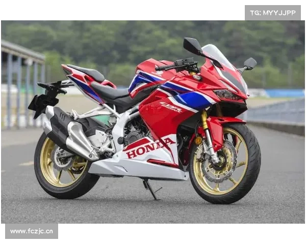 从本土崛起，驶向世界的速度传奇——奔达摩托